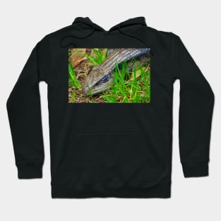 Blue Tongue Lizard enjoying the Sun! Hoodie